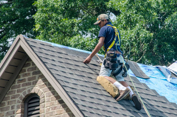 Best Roof Gutter Cleaning  in Fourche Crossing, LA